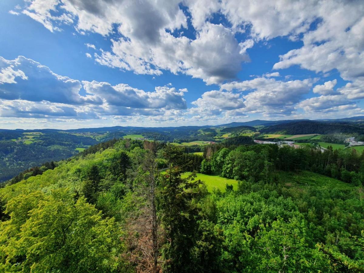 Haus Bergblick Apartment Маут Екстериор снимка